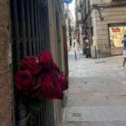 ヒメ日記 2025/11/05 10:30 投稿 れいら 制服天国（ユメオト）