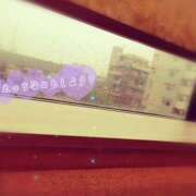 ヒメ日記 2025/09/11 14:52 投稿 たま【究極の癒しとエロ】 One More 奥様 新宿店