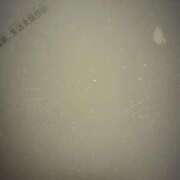 ヒメ日記 2025/11/04 19:02 投稿 たま【究極の癒しとエロ】 One More 奥様 新宿店