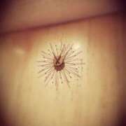 ヒメ日記 2025/11/14 05:42 投稿 たま【究極の癒しとエロ】 One More 奥様 新宿店