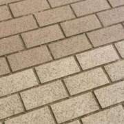 ヒメ日記 2025/11/19 13:32 投稿 たま【究極の癒しとエロ】 One More 奥様 新宿店