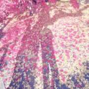 ヒメ日記 2025/11/22 07:02 投稿 たま【究極の癒しとエロ】 One More 奥様 新宿店