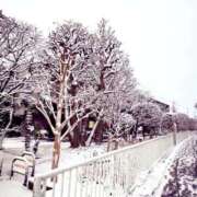 ヒメ日記 2026/02/08 08:02 投稿 たま【究極の癒しとエロ】 One More 奥様 新宿店