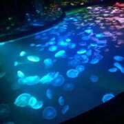 ヒメ日記 2026/03/18 10:12 投稿 たま【究極の癒しとエロ】 One More 奥様 新宿店