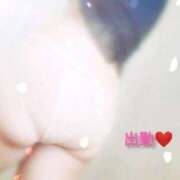 ヒメ日記 2026/04/03 12:23 投稿 たま【究極の癒しとエロ】 One More 奥様 新宿店