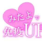 ヒメ日記 2026/05/30 14:12 投稿 たま【究極の癒しとエロ】 One More 奥様 新宿店