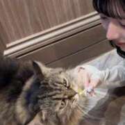 なの 祝前✨️✨️ クラブアリア -CLUB ARIA-