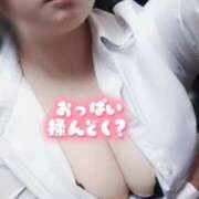 ヒメ日記 2025/12/21 13:08 投稿 もみじ奥様 なすがママされるがママ