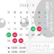 ヒメ日記 2025/09/10 17:20 投稿 あさがお チューリップ姫路店