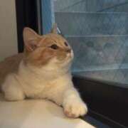 ヒメ日記 2025/10/27 22:18 投稿 星野　るびー OL精薬