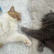 ヒメ日記 2025/12/19 12:03 投稿 星野　るびー OL精薬