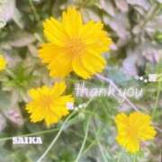 ヒメ日記 2025/08/07 11:44 投稿 彩花(さいか) グランドオペラ横浜