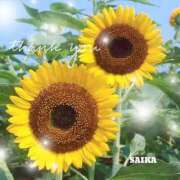 ヒメ日記 2025/08/28 20:41 投稿 彩花(さいか) グランドオペラ横浜