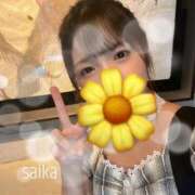 ヒメ日記 2025/09/27 09:21 投稿 彩花(さいか) グランドオペラ横浜