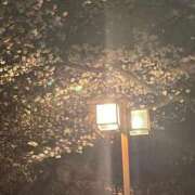 ヒメ日記 2026/03/28 17:51 投稿 彩花(さいか) グランドオペラ横浜