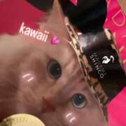 ヒメ日記 2025/09/29 15:15 投稿 楓香(ふうか) 高崎回春性感SPA