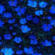 ヒメ日記 2025/12/28 21:48 投稿 ふう〈HB〉地元業界未経験 プレイガールα 宇都宮店