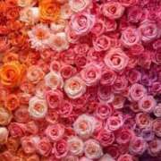 ヒメ日記 2025/12/28 21:51 投稿 ふう〈HB〉地元業界未経験 プレイガールα 宇都宮店