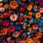 ヒメ日記 2025/12/28 22:12 投稿 ふう〈HB〉地元業界未経験 プレイガールα 宇都宮店