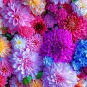 ヒメ日記 2025/12/30 10:21 投稿 ふう〈HB〉地元業界未経験 プレイガールα 宇都宮店