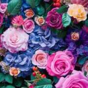 ヒメ日記 2025/12/30 10:33 投稿 ふう〈HB〉地元業界未経験 プレイガールα 宇都宮店