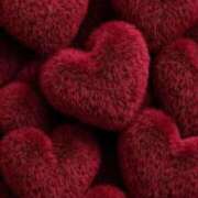 ヒメ日記 2026/01/11 04:21 投稿 ふう〈HB〉地元業界未経験 プレイガールα 宇都宮店