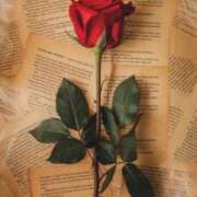 ヒメ日記 2026/01/12 14:48 投稿 ふう〈HB〉地元業界未経験 プレイガールα 宇都宮店