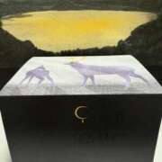 ヒメ日記 2026/01/17 08:27 投稿 ふう〈HB〉地元業界未経験 プレイガールα 宇都宮店