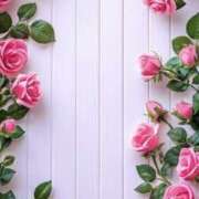 ヒメ日記 2026/01/25 05:27 投稿 ふう〈HB〉地元業界未経験 プレイガールα 宇都宮店