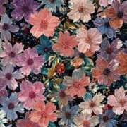 ヒメ日記 2026/01/27 22:57 投稿 ふう〈HB〉地元業界未経験 プレイガールα 宇都宮店