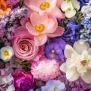 ヒメ日記 2026/03/14 13:12 投稿 ふう〈HB〉地元業界未経験 プレイガールα 宇都宮店