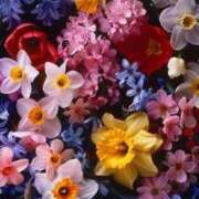 ふう〈HB〉地元業界未経験 ヴィエンヌ202へ呼んでいただいたお兄さんへ♡ プレイガールα 宇都宮店