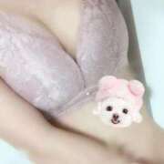 ヒメ日記 2025/08/25 14:32 投稿 みのり 秋葉原ハンドメイド