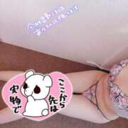 ヒメ日記 2025/07/30 13:49 投稿 のあ 熟女の風俗最終章 新潟店