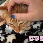 ヒメ日記 2025/08/13 10:05 投稿 こつぶ One More 奥様 小岩店