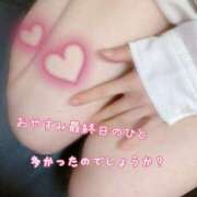 ヒメ日記 2025/08/18 00:43 投稿 れいか One More 奥様 小岩店