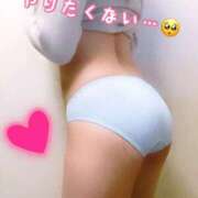 ヒメ日記 2025/11/01 13:25 投稿 れいか One More 奥様 小岩店