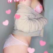 ヒメ日記 2025/11/23 13:35 投稿 れいか One More 奥様 小岩店