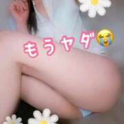 ヒメ日記 2026/02/20 13:25 投稿 れいか One More 奥様 小岩店