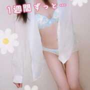 ヒメ日記 2026/03/21 13:05 投稿 れいか One More 奥様 小岩店