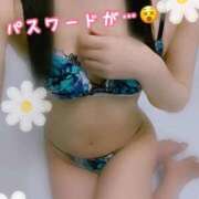 ヒメ日記 2026/03/28 13:15 投稿 れいか One More 奥様 小岩店