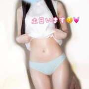 ヒメ日記 2026/08/14 19:36 投稿 れいか One More 奥様 小岩店