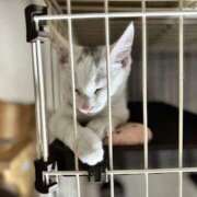 ヒメ日記 2025/08/03 21:35 投稿 れいら One More 奥様 小岩店