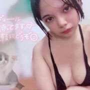 ヒメ日記 2025/12/01 14:55 投稿 れんげ One More 奥様 小岩店