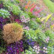 ヒメ日記 2026/04/15 22:52 投稿 えり One More 奥様 小岩店