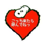 ヒメ日記 2025/08/19 11:05 投稿 あずさ One More 奥様 小岩店