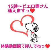 ヒメ日記 2025/08/19 12:45 投稿 あずさ One More 奥様 小岩店