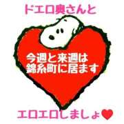 ヒメ日記 2025/11/19 19:55 投稿 あずさ One More 奥様 小岩店