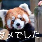 ヒメ日記 2025/11/23 17:09 投稿 大貫 鶯谷デッドボール