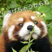 大貫 予定を変えました。 鶯谷デッドボール